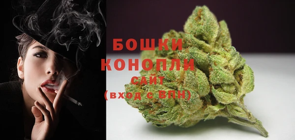 прущие грибы Навашино