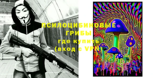 прущие грибы Навашино