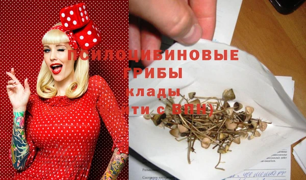 прущие крисы Великий Новгород