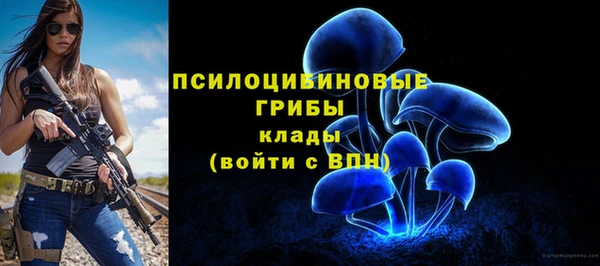 прущие грибы Навашино