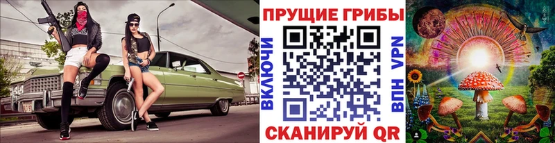 как найти наркотики  Щёлкино  Галлюциногенные грибы ЛСД 